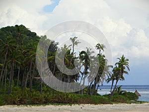 Tropical Paradise - Fiji - islands on South Pacific