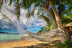 Tropical Paradise - Hammock between palm trees at the seaside on a tropical island