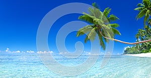 Tropical Paradise Island Beach Sea Concept