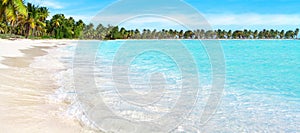 Tropical paradise island panoramic view, sea sand beach panorama, exotic nature, ocean water, wave, palm tree, sun sky cloud