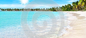 Tropical paradise island panoramic view, sea sand beach panorama, exotic nature, ocean water, wave, palm tree, sun sky cloud