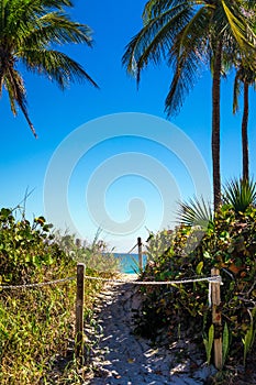 Tropical Paradise nature landscape  vertical