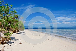Tropical Paradise on Palawan, Phillipines