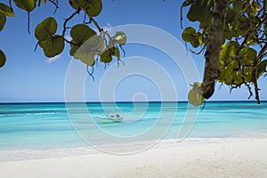 Tropical paradise, sand beach in caribbean Saona Island, Punta Cana, Dominican