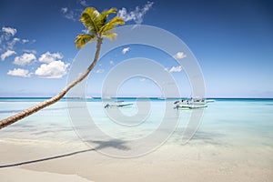 Tropical paradise, sand beach in caribbean Saona Island, Punta Cana, Dominican