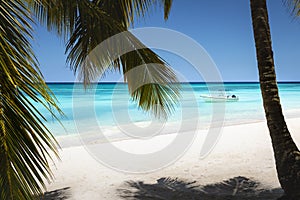 Tropical paradise, sand beach in caribbean Saona Island, Punta Cana, Dominican