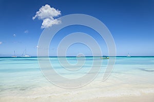 Tropical paradise, sand beach in caribbean Saona Island, Punta Cana, Dominican