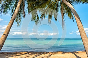 Tropical paradise sandy beach with palms and calm clear turquoise sea water