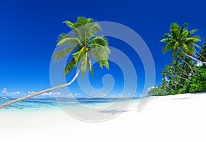 Tropical Paradise Summer Turquoise Beach Seascape Concept