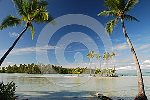 Tropical paradise. Tahaa, French Polynesia