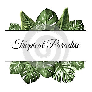 Tropical paradise top bottom frame. Exotic jungle rainforest greenery. Palm tree monstera philodendron leaves.