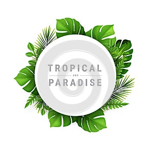 Tropical and paradise Vector Illustration with place for your text. Exotic Plants Background,