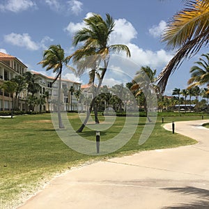 The tropical park in the city of Cap Cana on the background of houses photo