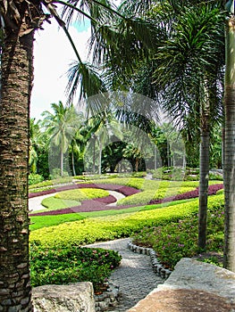 tropical park. landscape design