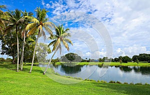 Tropical park in Plantation, Florida