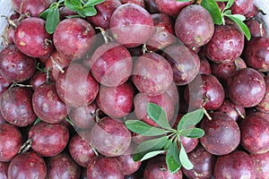 Tropical passion fruits, China