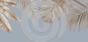 Tropical Pastel Banner background. Dry tropical leaves Watercolour illustration on blue background.