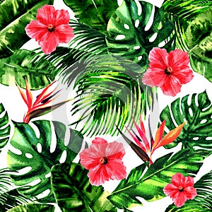 Tropical pattern with monstera leaf, palm leaves, bird of paradise, hibiscus flower, summer colorful seamless pattern