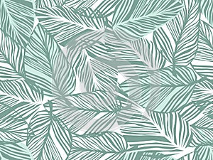 Tropical pattern, palm leaves seamless vector floral background.