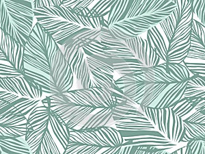 Tropicale modello Palma foglie senza soluzione di continuità vettore 