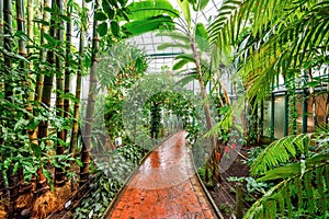 Tropical pavilon in botanical garden in Liberec