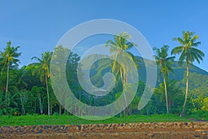 Tropical Philippines