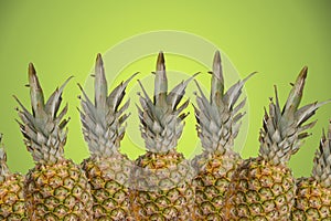 Tropical pinapples on green background