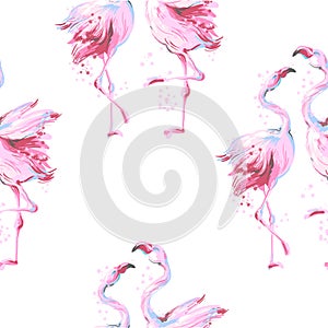 Tropical pink Bird Flamingo Background Seamless pattern vector on white