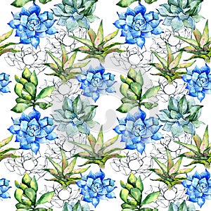 Tropical plant. Floral botanical flower. Wild spring leaf wildflower pattern.