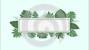 Tropical plant leaves appearing and waving and frame on solid light green background 4k