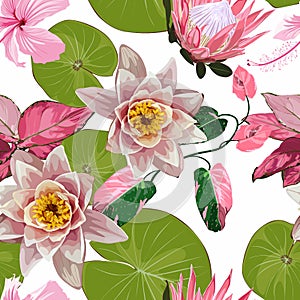 Tropical plant with lotus, water lily with leaves. Water lily flowers and exotic pink plant.