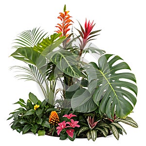 Tropical Plants Backdrop