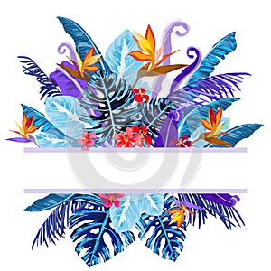 Tropical plants background