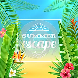 Tropical Plants Background vector illustration