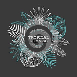 Tropical plants banner design. Hand drawn tropical summer exotic leaves illustration on chalk board. Jungle leaves, palm leaves