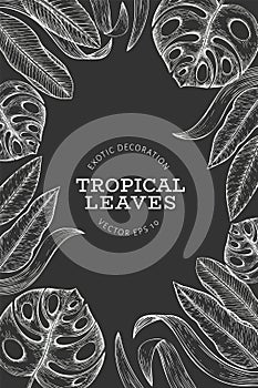 Tropical plants banner design. Hand drawn tropical summer exotic leaves illustration on chalk board. Jungle leaves, palm leaves