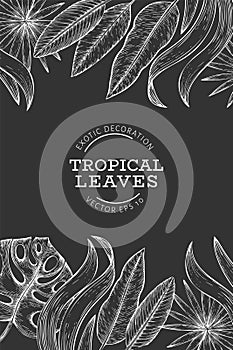 Tropical plants banner design. Hand drawn tropical summer exotic leaves illustration on chalk board. Jungle leaves, palm leaves