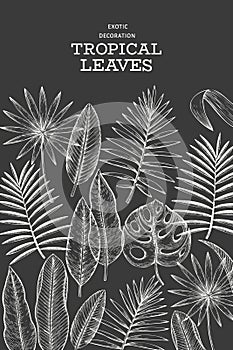 Tropical plants banner design. Hand drawn tropical summer exotic leaves illustration on chalk board. Jungle leaves, palm leaves