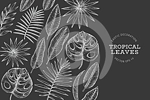 Tropical plants banner design. Hand drawn tropical summer exotic leaves illustration on chalk board. Jungle leaves, palm leaves