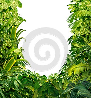 Tropical Plants Blank Frame