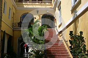 Tropical plants and building