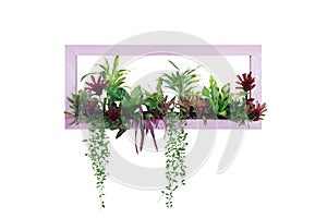 Tropical plants bush decor hanging Dischidia, Bromeliad, Dracaena, Begonia, BirdÃ¢â¬â¢s nest fern indoor garden nature backdrop, photo