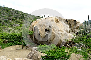 The tropical plants, cactus and large stones at Ayo Rock Formations in Aruba