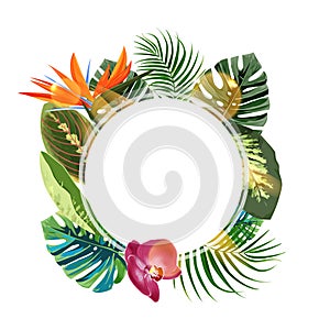 Tropical plants cicle design template. Bird of paradise, monstera, palm leaves composition with blan space.