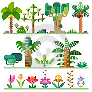 Tropical plants