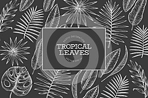 Tropical plants frame design. Hand drawn tropical summer exotic leaves illustration on chalk board. Jungle leaves, palm leaves