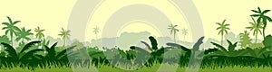 Tropical plants, herbs. The jungle, the savannah. Vector. Dense thickets of meadow. Light foggy green horizon, lush young grass an