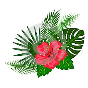 Tropical plants and hibiscus flower arrangement vector illustration