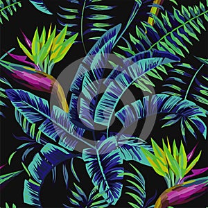 Tropical plants in the jungle night photo