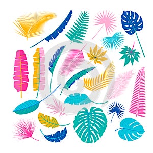 Tropical plants, leafs. Summertime nature objects. Jungle, Hawaii, Tropics. Flat design,